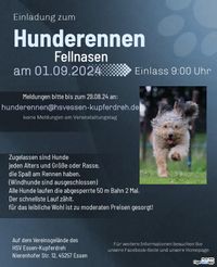 Hunderennen 01.09.2024